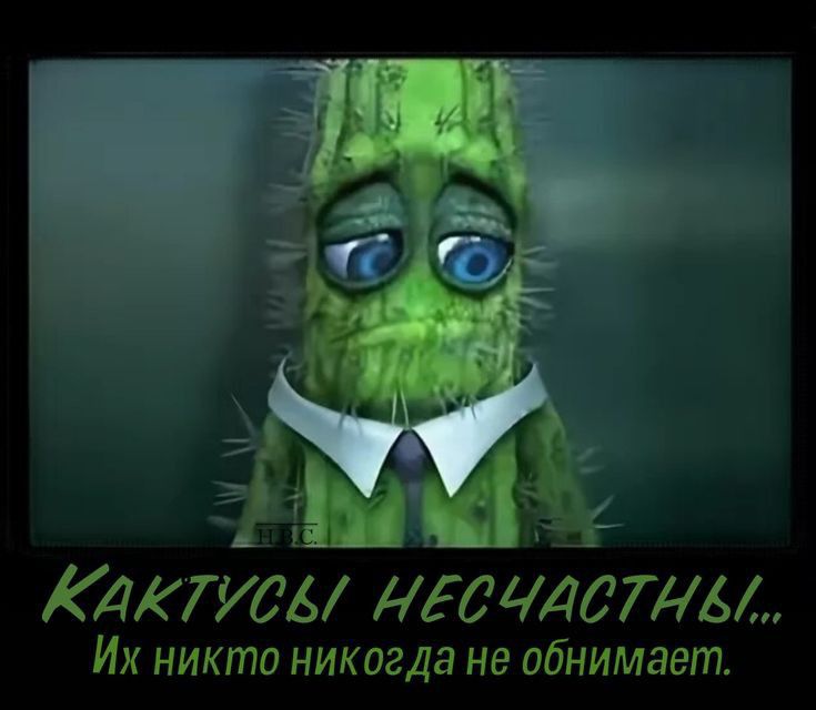 КМПсв диддаты Их никто никогда не обнимает