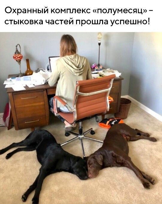 Охранный комплекс полумесяц стыковка частей прошла успешно