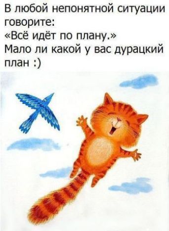 В любой непонятной ситуации говорите Всё идёт по плану Мало ли какой у вас дурацкий план