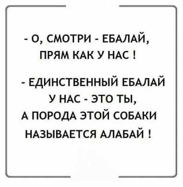 о смотри ЕБАЛАЙ прям КАК у НАС Единстввнный ЕБАЛАЙ у НАС это ты А ПОРОДА этой СОБАКИ НАЗЫВАЕТСЯ АЛАБАЙ