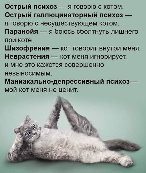 Острый психоз я говорю с котом Острый гаплюцинаторный психоз я говорю с несуществующем котом Паранойя я боюсь сбоптнуть лишнего при коте Шизофрения кот говорит внутри меня Неврастеиия кот меня игнорирует и мне это кажется совершенно невыносимым Маниакапьио депрессивный психоз мой кот меня не ценит