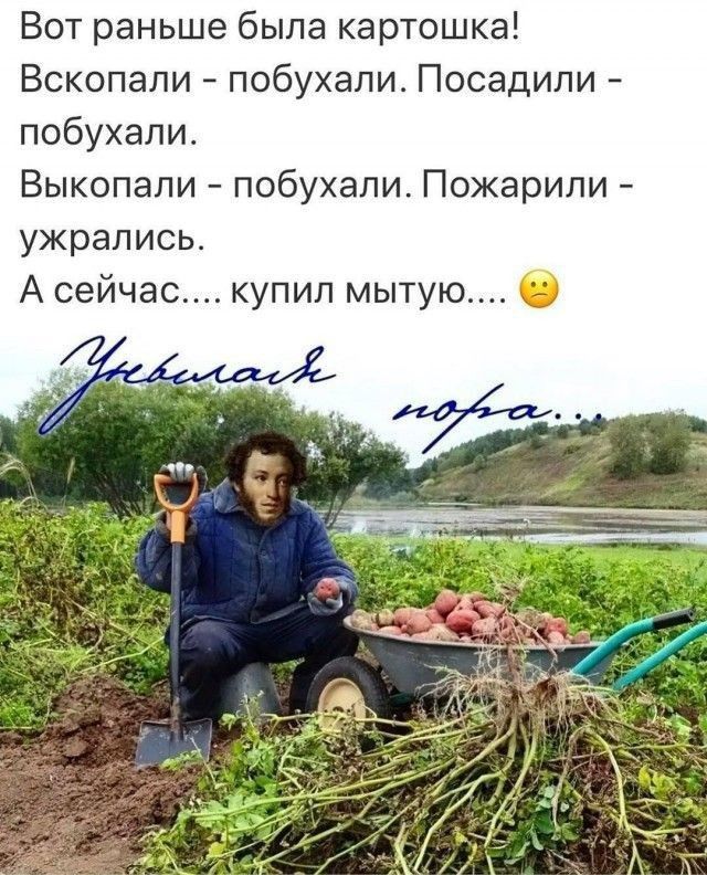 Вот раньше была картошка Вскопали побухапи Посадили побухапи Выкопали побухапи Пожарили ужрапись А сейчас купил мытую О