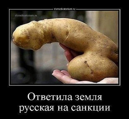 Ответила земля русская на санкции