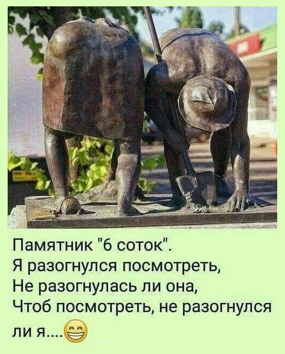 Памятник 6 соток Я разогнулся посмотреть Не разогнулась ли она Чтоб посмотреть не разогнулся ли я