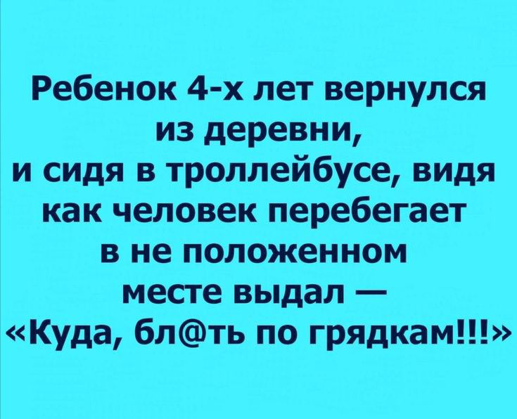 Ребенок 4 х лет вернулся из деревни и сидя в троллейбусе видя как человек перебегает в не положенном месте выдал 3Куда блть по грядкам