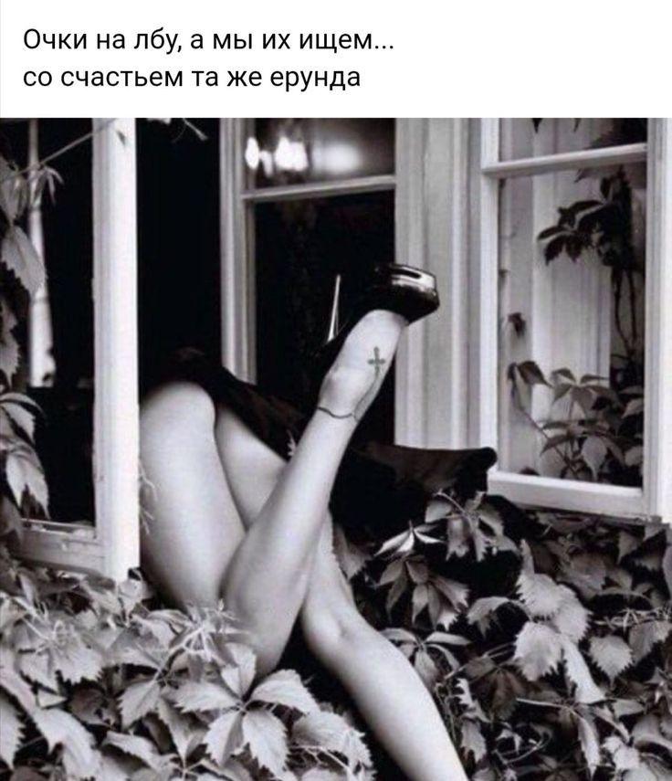 Очки на лбу а мы их ищем со счастьем та же ерунда