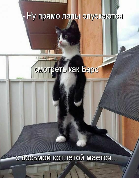 Ла ои котдетоймаётся _ _М г Котоматрица Ъхоюташхмги