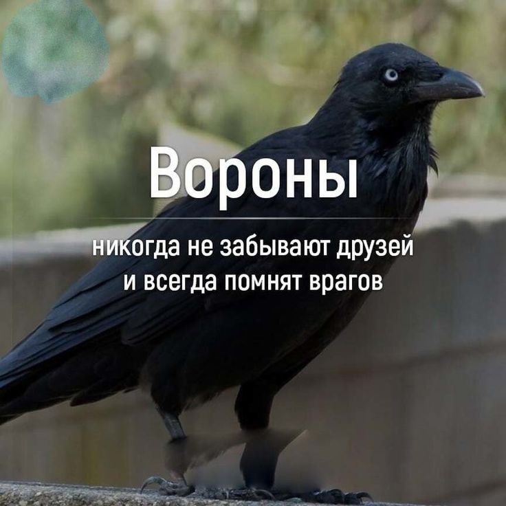огда не забывают дРУзей и всегда помнят врагов