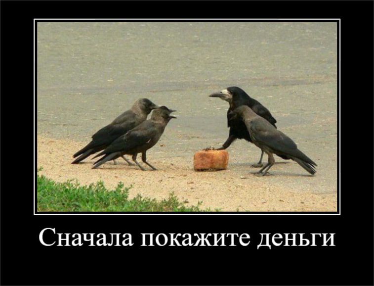 Сначала ПОКЗЖИТС ДеНЬГИ