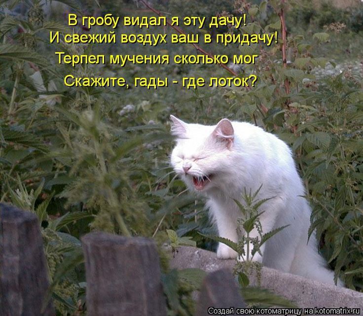 В гробу видал я эту деду __ И сдежий воздух ваш в придачу