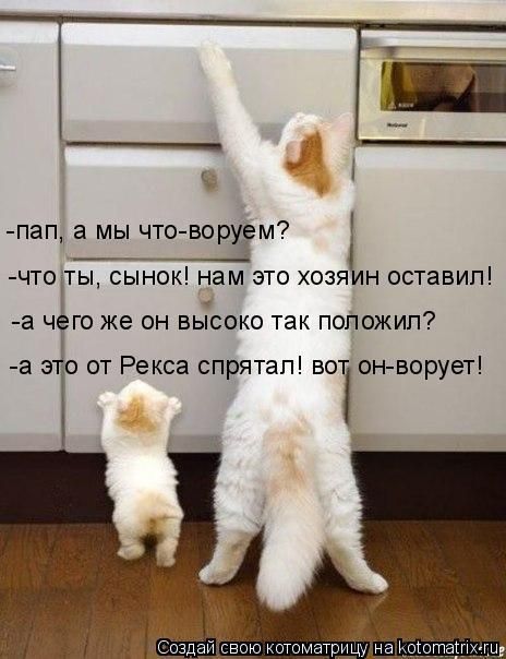 пап а мы что ворЁм А ЧТОТЫ СЫНОК НЭМ ЭТО ХОЗЯ Н ОСТЭБИП