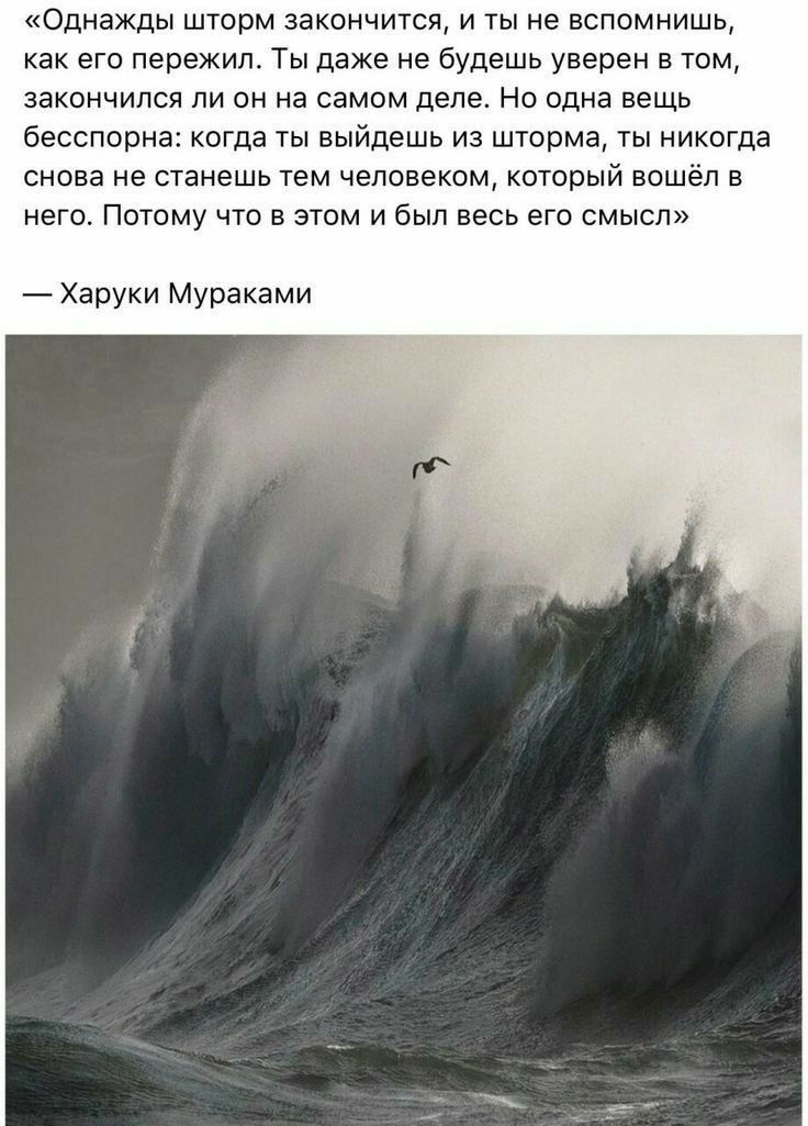 Однажды шторм закончится и ты не вспомнишь как его пережил Ты даже не будешь уверен в том закончился ли он на самом деле Но одна вещь бесспорна когда ты выйдешь из шторма ты никогда снова не станешь тем человеком который вошёл в него Потому что в этом и был весь его смысл Харуки Мураками
