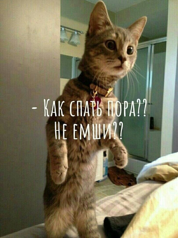 и Епжму Г
