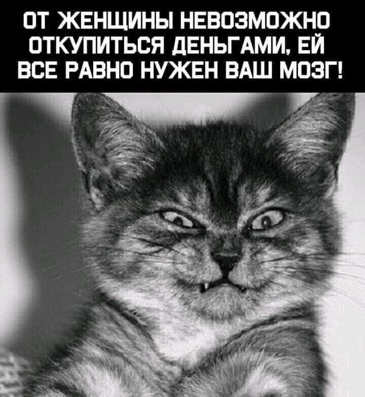 ОТ ЖЕНЩИНЫ НЕВОЗМОЖНО ОТКУПИТЬОЯ дЕНЬГАМИ ЕЙ ВОЕ РАВНО НУЖЕН ВАШ МОЗГ