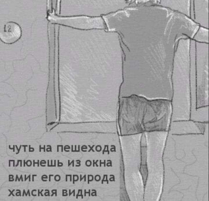 чуть на пешехода плюнешь из окна вмиг его природа _ хамская видна