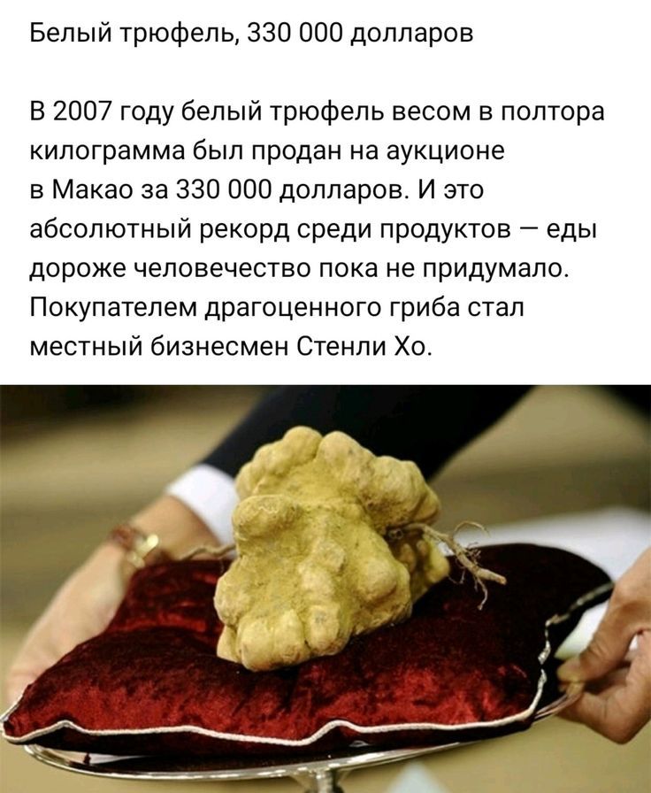 Белый трюфель 330 000 долларов В 2007 году белый трюфель весом в полтора килограмма был продан на аукционе в Макао за 330 000 долларов И это абсолютный рекорд среди продуктов еды дороже человечество пока не придумало Покупателем драгоценного гриба стал местный бизнесмен Стенли Хо