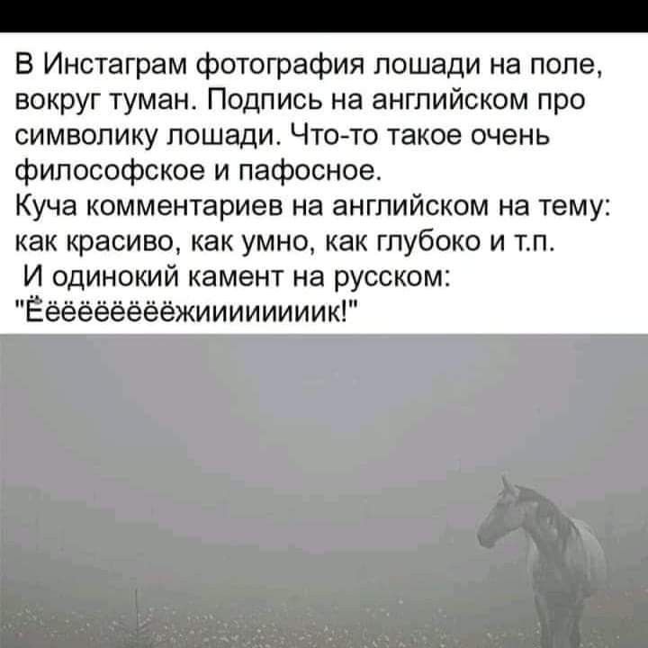 В Инстаграм фотография лошади на поле вокруг туман Подпись на английском про символику лошади Что то такое очень философское и пафосное Куча комментариев на английском на тему как красиво как умно как глубоко и тп И одинокий камент на русском Ёёёёёёёёёжиииииииик