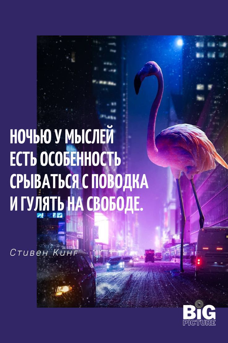 ночьюумыслви Естьосоёшно _ _ чт Стивен Кинь _ _ Віс істипг