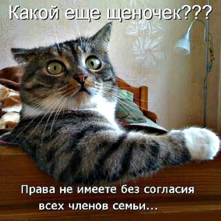 Права не имеете без согласия всех членов семьи