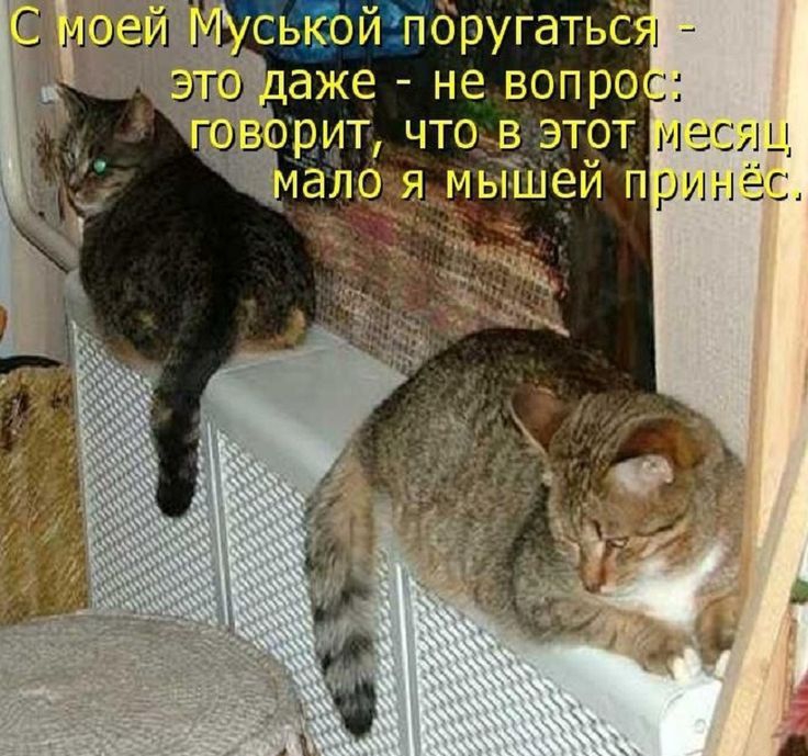 двор ит чтоэег ТРТЁ еся ц а Еще