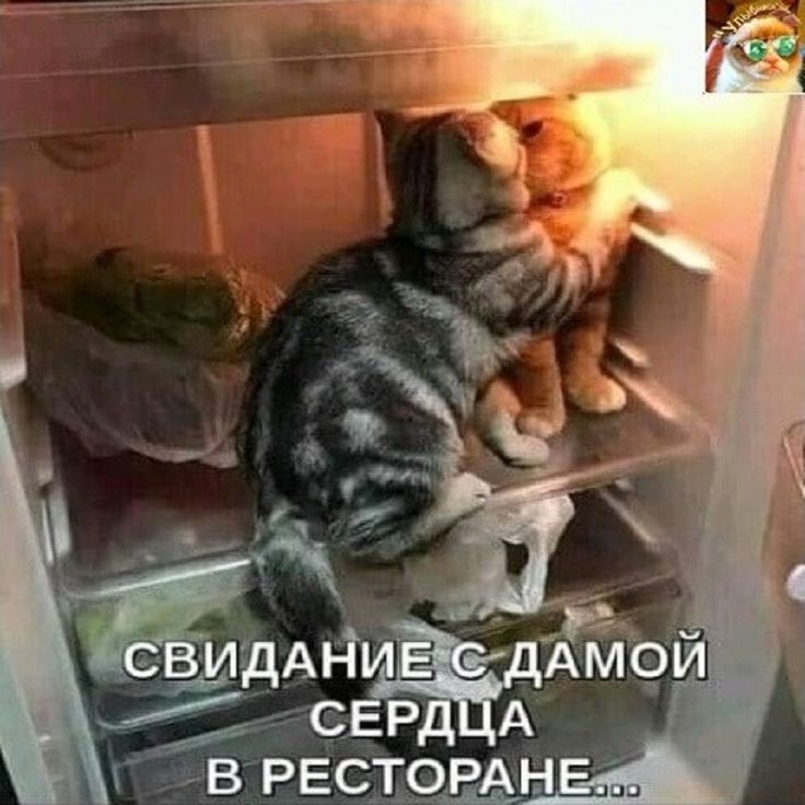 СВИДАНИЁ С ДАМОЙ 1 СЕРДЦА В РЕСТОРАНЕ
