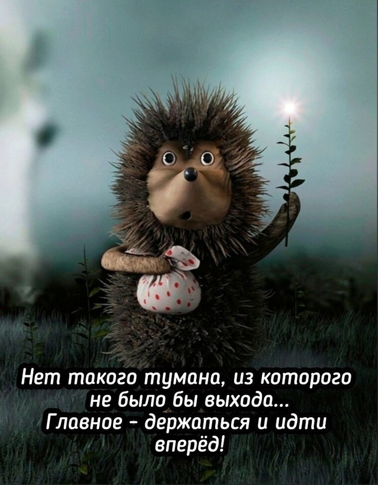 Нет такого тумоно из которого не было бы выхода Г ловное держаться и идти вперёд