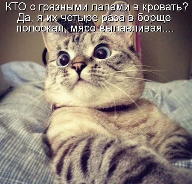 КТО с грязным ла вв кровать