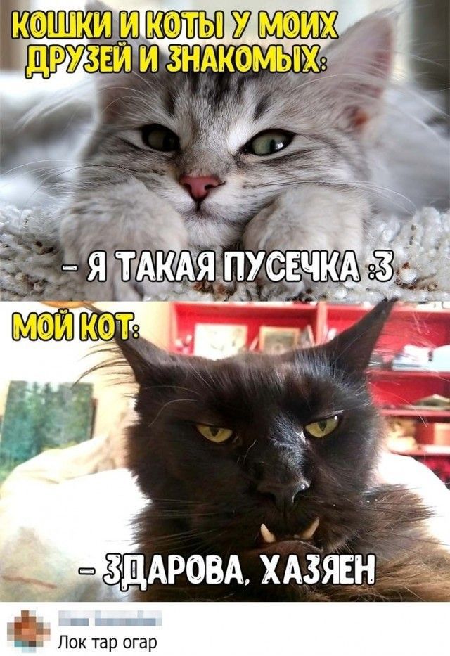 в _ Лок тар огар