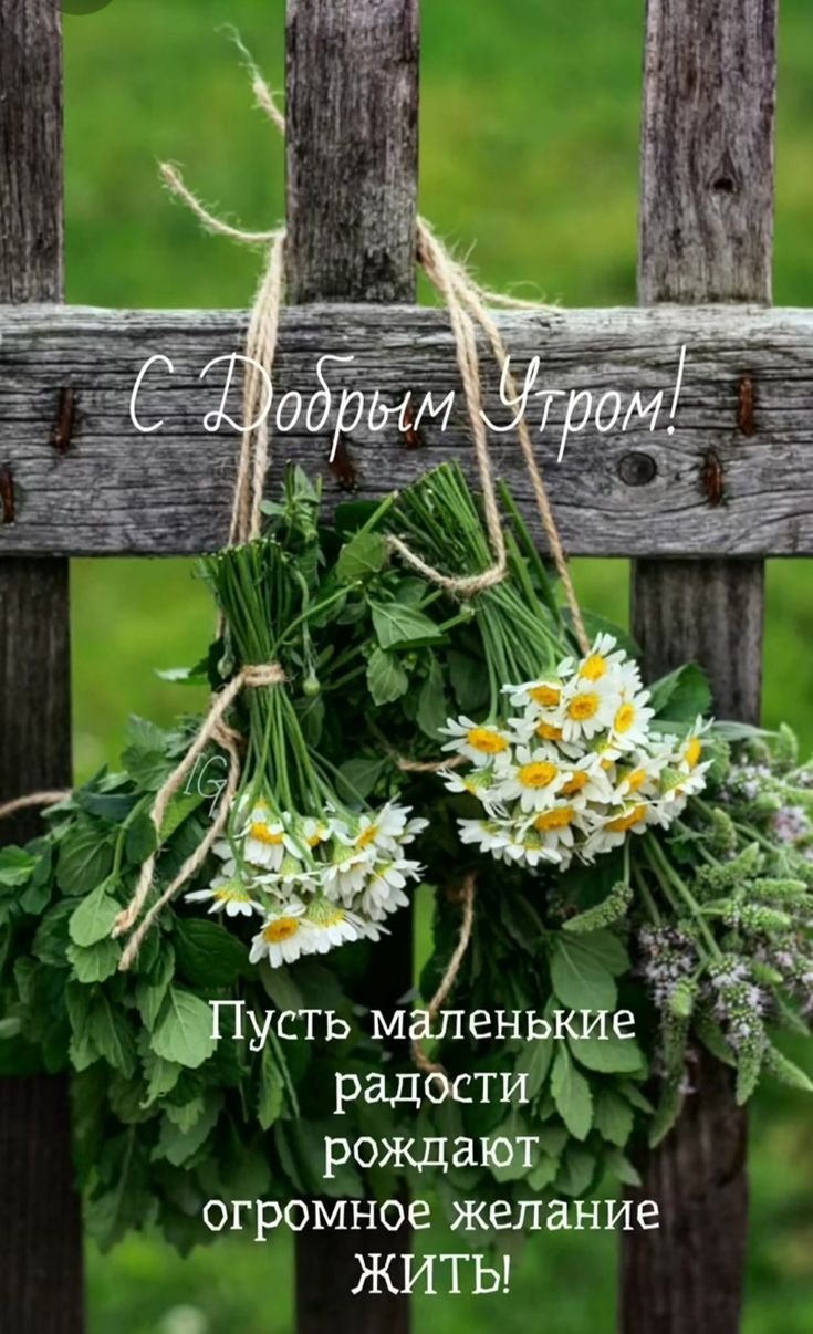 те _ тушь малень радости рождают огромное желание ЖИТЬ