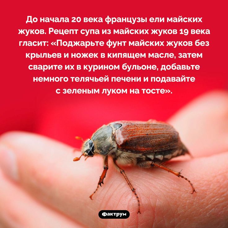 крыльев и сварите
