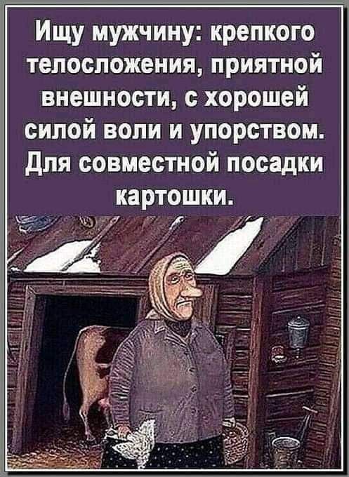 Ищу мужчину крепкого телосложения приятной внешности с хорошей силой воли и упорством для совместной посадки картошки __ 1