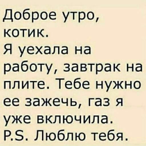 Доброе утро котик Я уехала на работу завтрак на плите Тебе нужно ее зажечь газ я уже включила РЗ Люблю тебя
