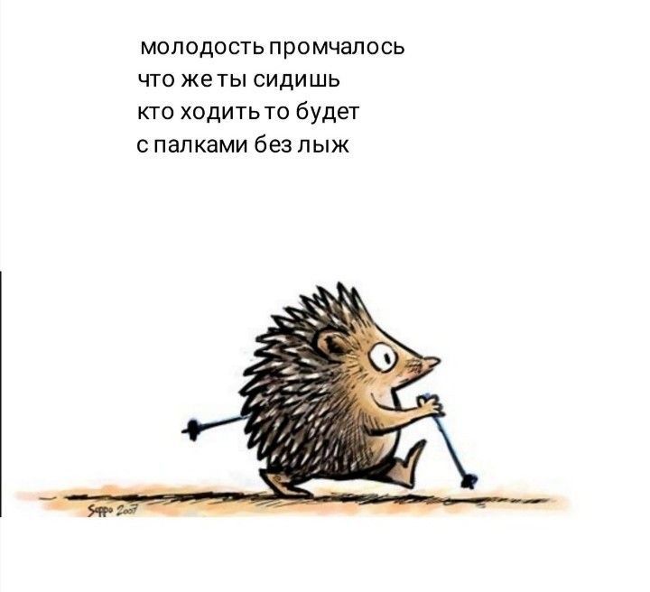 молодость промчапось что же ты сидишь кто ходитьто будет с палками без пыж