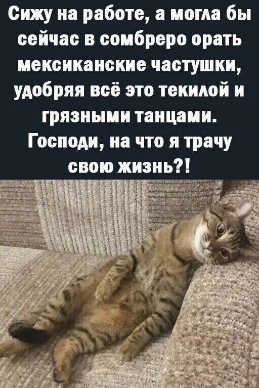 Сижу на работе а могла бы сейчас в сомбреро орать мексиканские частушки удобряя всё это текилой и грязными танцами Господи на что я трачу свою жизнь