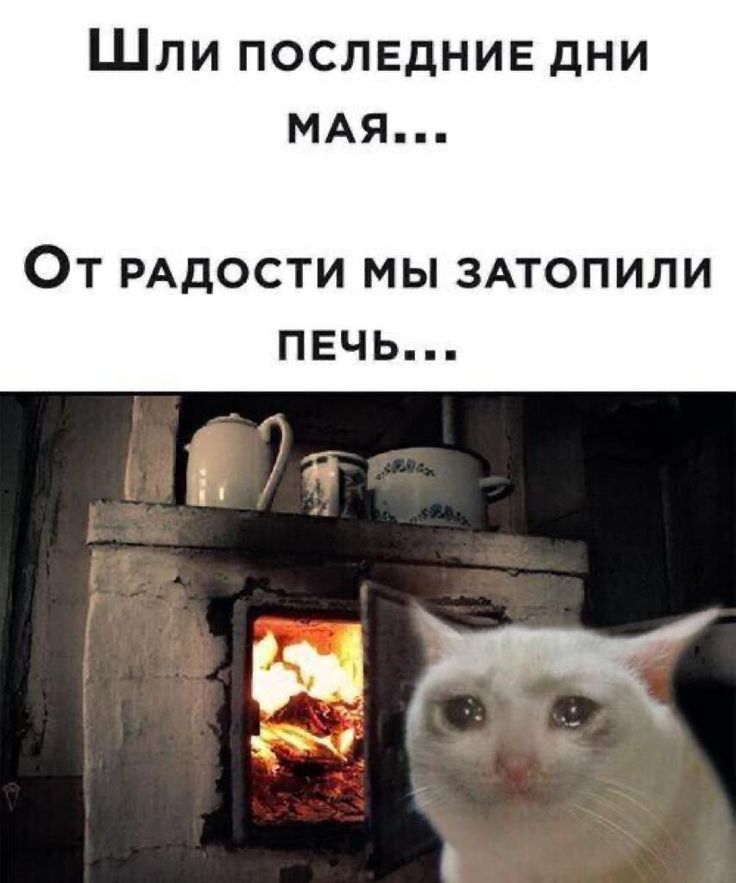 Шли ПОСЛЕДНИЕ дни МАЯ ОТ РАДОСТИ МЫ ЗАТОПИЛИ ПЕЧЬ