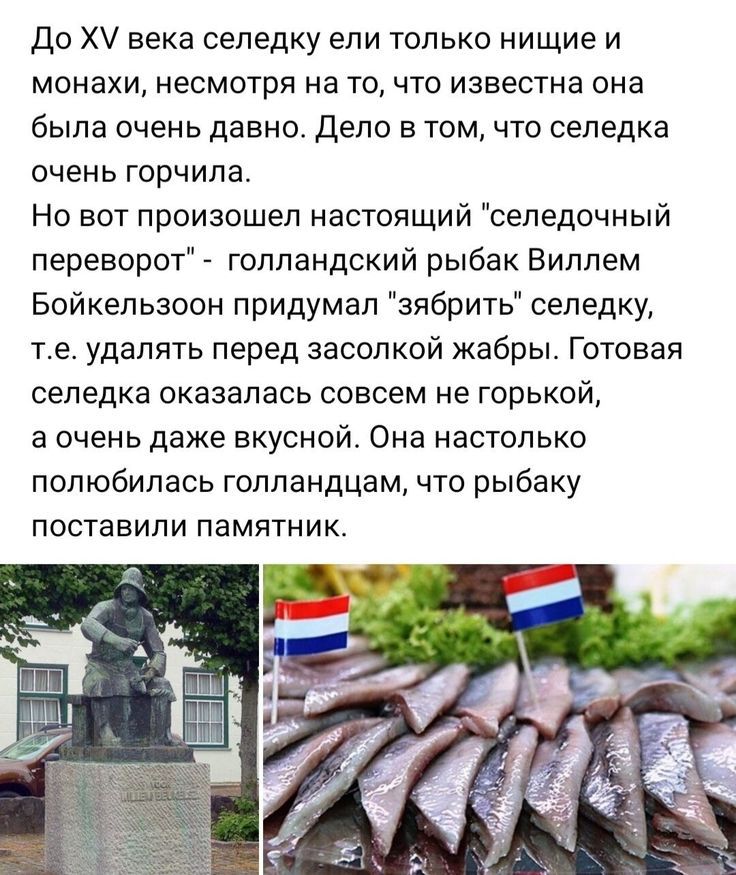 До Х века селедку ели только нищие и монахи несмотря на то что известна она была очень давно Дело в том что селедка очень горчила Но вот произошел настоящий селедочный переворот голландский рыбак Вилпем Бойкельзоон придумал зябрить селедку те удалять перед засолкой жабры Готовая селедка оказалась совсем не горькой а очень даже вкусной Она настолько полюбилась голландцам что рыбаку поставили памятн
