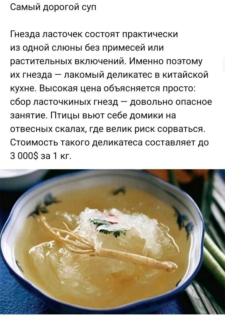 Самый дорогой суп Гнезда ласточек состоят практически из одной слюны без примесей или растительных включений Именно поэтому их гнезда лакомый деликатес в китайской кухне Высокая цена объясняется просто сбор ласточкиных гнезд довольно опасное занятие Птицы вьют себе домики на отвесных скалах где велик риск сорваться Стоимость такого депикатеса составляет до 3 000 за 1 кг