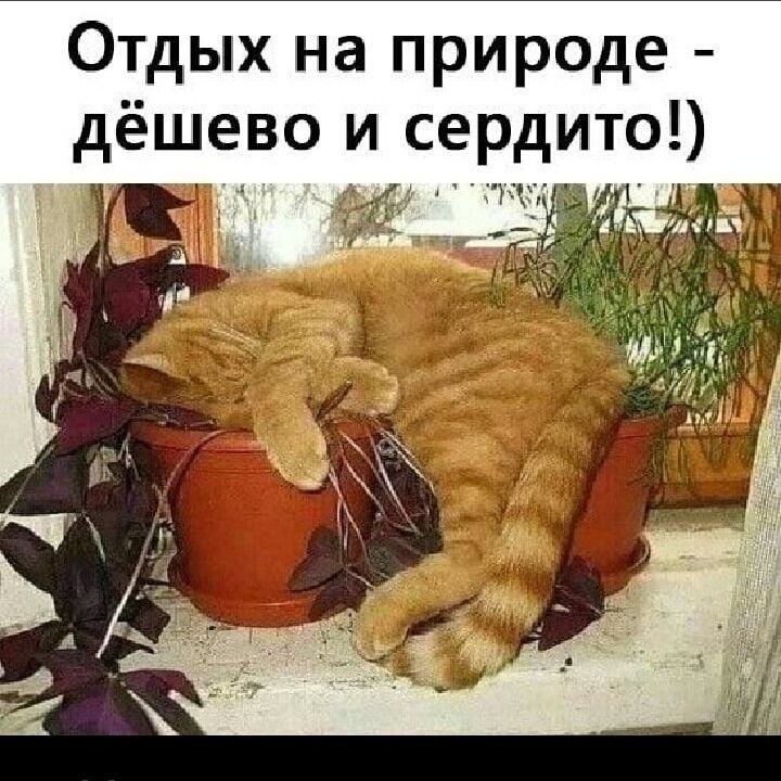 Отдых на природе дёшево и сердито