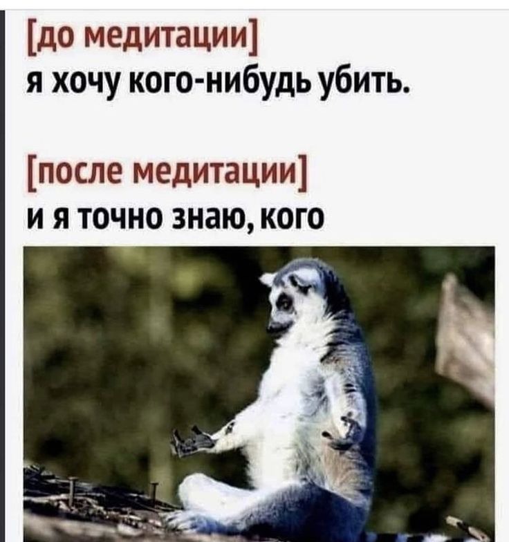 до медитации я хочу кого нибудь убить после медитации и я точно знаю кого