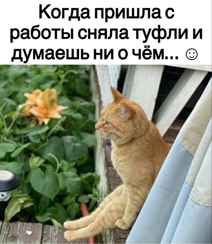 Когда пришла с работы сняла туфли и думаешь ни о чём к