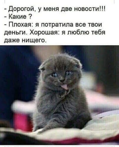 Дорогой у меня две новости Какие Плохая я потратила все твои деньги Хорошая я люблю тебя даже НИЩЕГО