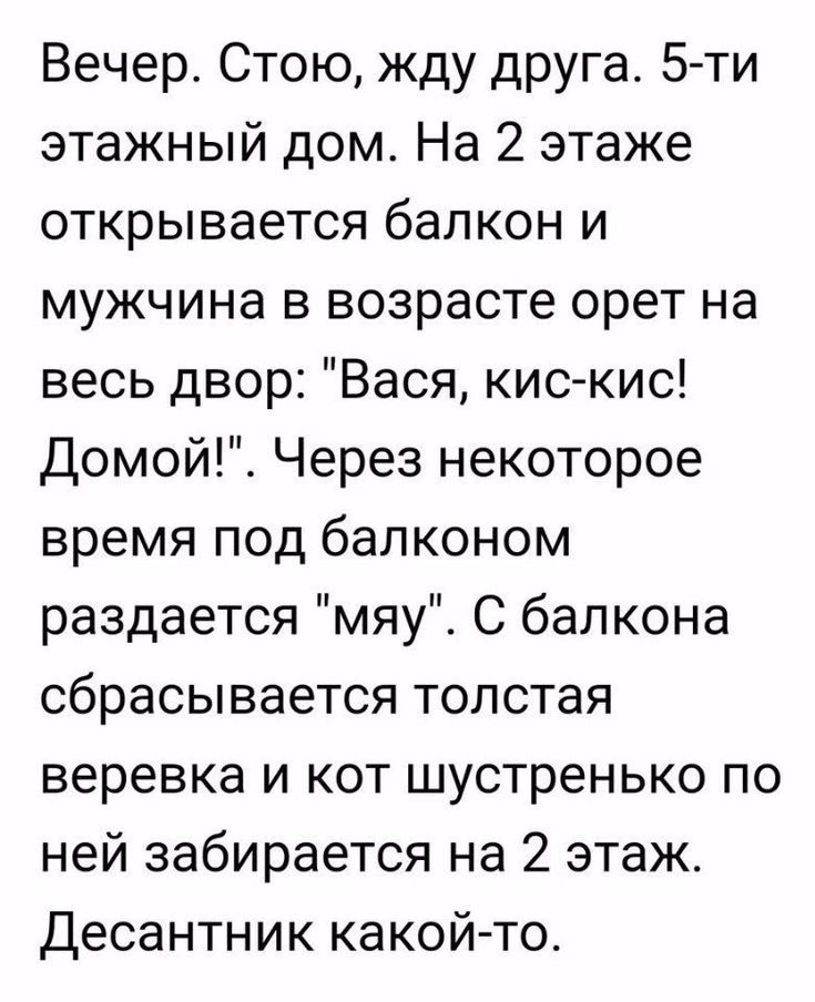 Вечер Стою жду друга 5 ти этажный дом На 2 этаже открывается балкон и мужчина в возрасте орет на весь двор Вася кис кис домой Через некоторое время под балконом раздается мяу С балкона сбрасывается толстая веревка и кот шустренько по ней забирается на 2 этаж Десантник какой то