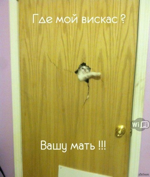 Где мой висков Вашу мать _