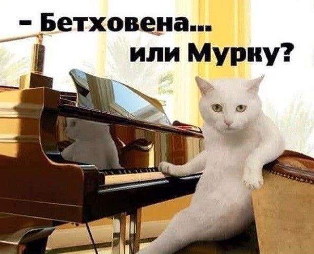 7 __Бетховена или Мурку