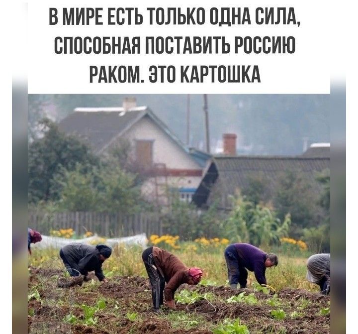 В МИРЕ ЕСТЬ ТПЛЬКП ПЛНА СИЛА СПОБПБНАП ПОСТАВИТЬ ЮВБИЮ РАКПМ ЭТП КАППШКА