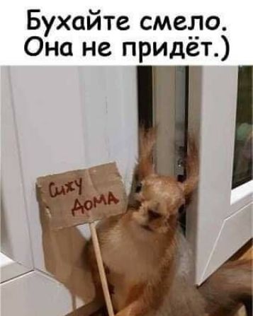 Бухайте смедо Она не придет