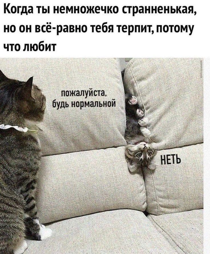 Когда ты немножечко страннанькая но он всё равно тебя терпит потому что любит пожалуйста будь нормальной