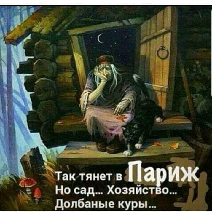 Так тянет в пар иж __ Но сад Хозяйство долбаные куры