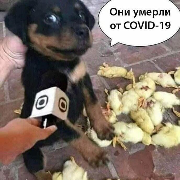 Они умерли ОТ ССМ349