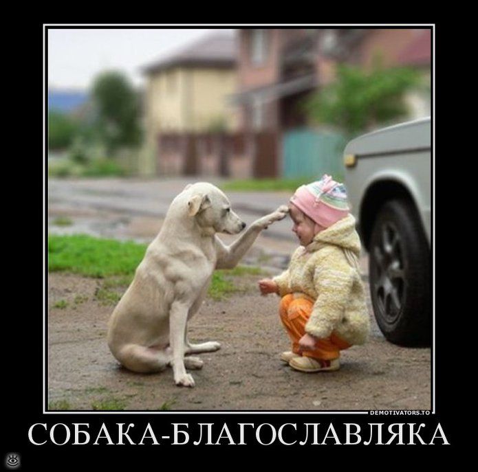 СОБАЛЯКА БЛАГОСЛАВА